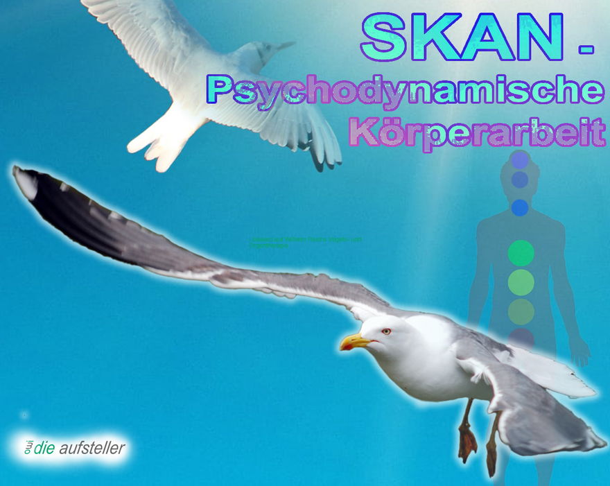 SKAN - Psychodynamische Körperarbeit als Unterstützung der Systemischen Aufstellung und des Coaching - open way institute – www.owi-die-aufsteller.ch