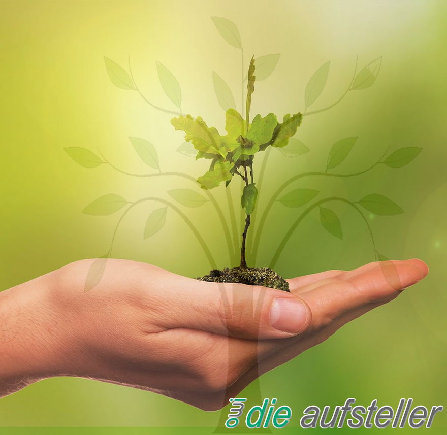 Zur Qualitätssicherung unserer Aufstellungsarbeit - Experimentelle Plattform - Aufstellungs-Labor und Intervisionsgruppe - open way institute – www.owi-die-aufsteller.ch